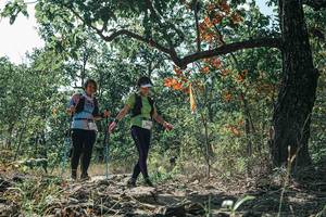 BIB: 
                            <button type="button" onclick="openModal(26113369)" class="btn btn-primary btn-sm float-right btn-popup" data-toggle="modal" data-target=".modal-high-quality">
                        <i class="fas fa-shopping-cart"></i> Add to Cart
                    </button>
                                            <button type="button" onclick="isThisMe(26113369, true)" class="btn btn-success btn-sm float-right btn-popup btn-isme hidden" data-toggle="tooltip" data-placement="bottom" title="นี่คือรูปของคุณใช่ไหม คลิกที่นี่เพื่อเอาเข้าอัลบั้ม">
                        <i class="fas fa-plus"></i> Add to album
                    </button>
                    <button type="button" onclick="isThisMe(26113369, false)" class="btn btn-warning btn-sm float-right btn-popup btn-isnotme hidden">
                        <i class="fas fa-ban"></i> Remove from album
                    </button>